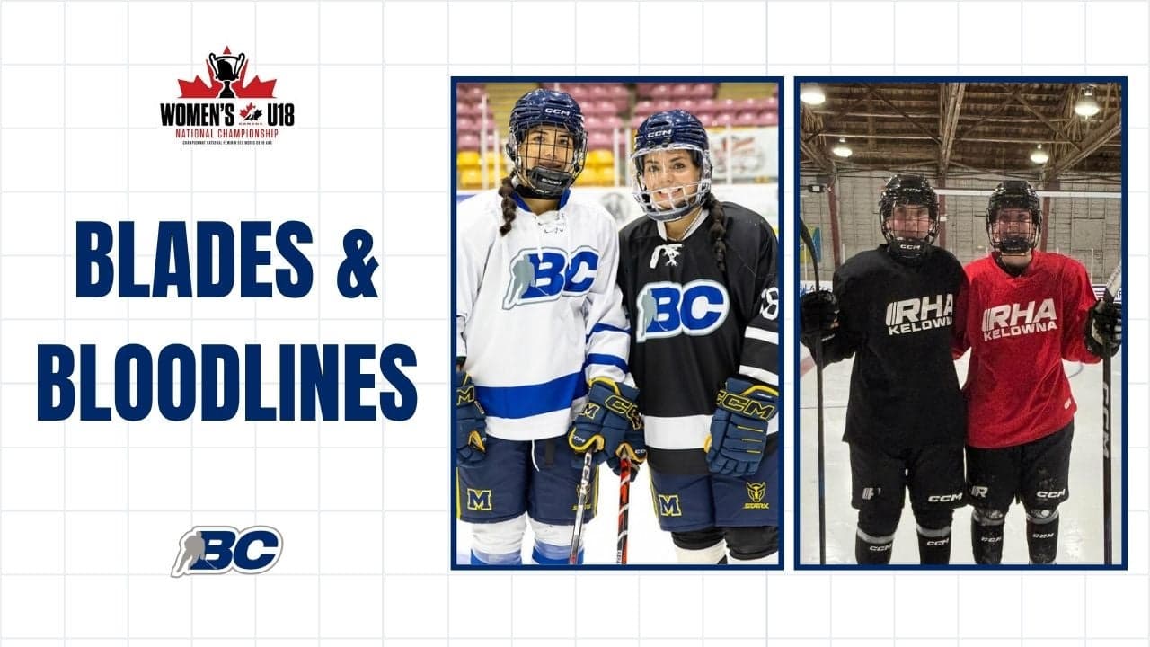 BLADES & BLOODLINES image