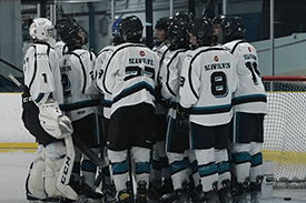 BC HOCKEY CHAMPIONSHIP PREVIEW - PRINCE RUPERT MINOR HOCKEY ASSOCIATION